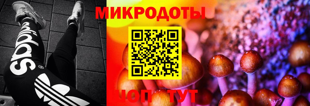 Псилоцибиновые грибы ЛСД Серпухов